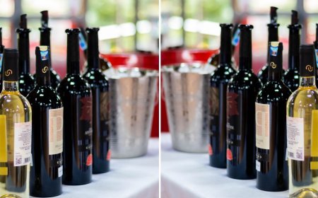 Italian Wine Culture Thrives in Kenya as Top Roadshow Draws Elite Industry Players