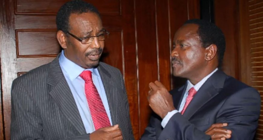 Kalonzo's Wiper Party Kicks Out MP Farah Maalim