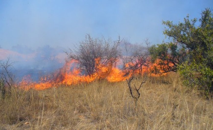 Wildfires Break Out In Kenya's Isiolo, Spreading Towards 4 Villages