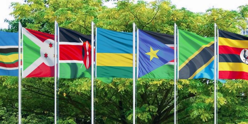 Navigating EAC Trade? Here's What Every Kenyan Business Needs to Know About Customs Bonds