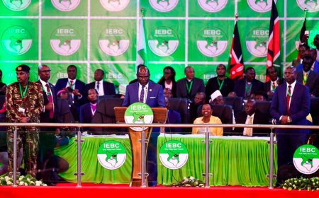 How To Apply To Be An IEBC Chairperson, Commissioners & Requirements