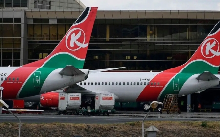 Nigeria Responds After Issuing Threat To Kenya Airways Over Clash With Passenger