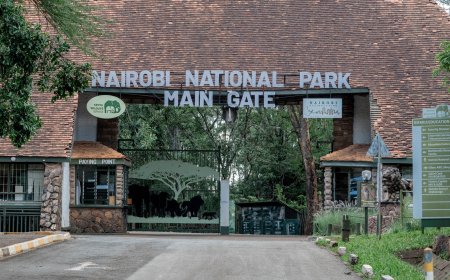 Kenyans Visiting Parks Notified Of Changes To eCitizen Payment System