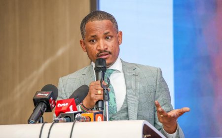 Babu Owino Issues Demand To Ruto Over Missing Fisherman Brian Odhiambo
