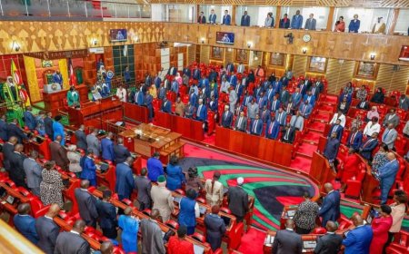 Court Rules Ruto's Kenya Kwanza Is Not The Majority In Parliament