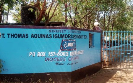 Govt Issues Directives After 68 St Thomas Aquinas Students Ate Contaminated Meat