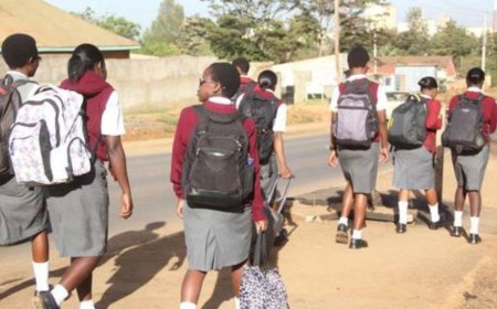 68 Students Hospitalised After Eating Contaminated Meat At School