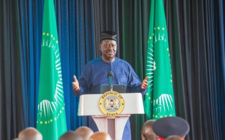 Tanzania, DRC & 14 Countries Told To Change From Supporting Raila