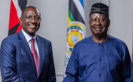 AUC Elections: Leaders Who Accompanied Ruto, Raila To Ethiopia [LIST]