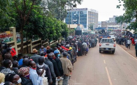 School, Hotel Among 177 Companies Govt Has Shut Down