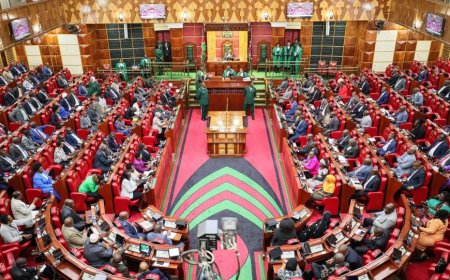 Blow To MPs After Court of Appeal Ruling On Ksh250K House & Sitting Allowances