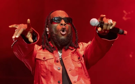 No Entry Past 9 PM: Kenyans Attending Burna Boy Concert Told