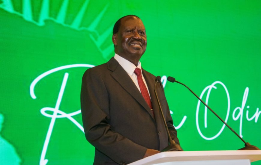 Govt Defends 100 MPs Travelling With Raila For AUC Elections