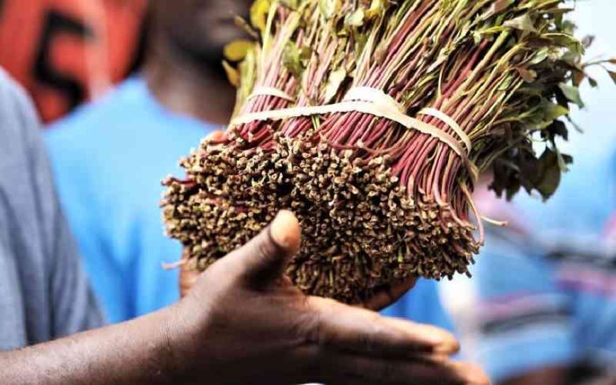 CS Mutahi Kagwe Increases Miraa Prices