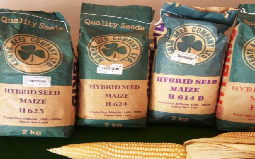 Govt Announces Maize Seed Prices Ahead Of Long Rainy Season