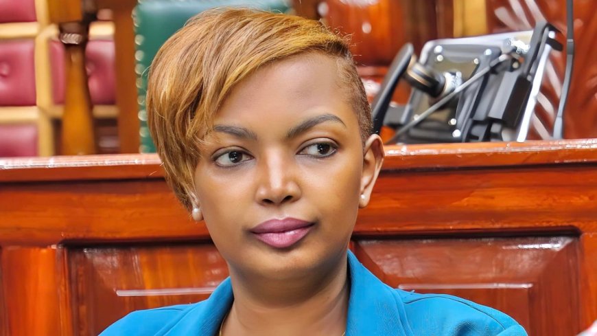 Karen Nyamu Asks Not To Be Called For Harambees Unless Kenyans Register For SHA