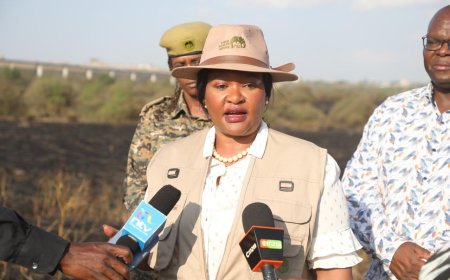 CS Miano Reveals Why Wildfires In National Parks Have Increased