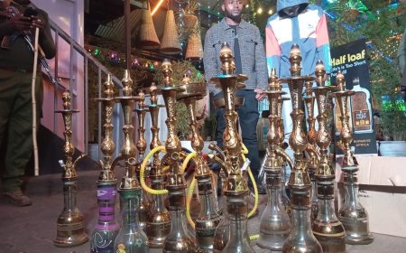 NACADA Raid Another Langata Road Nightclub In Shisha Crackdown