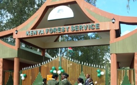 KFS, KURA Warn Kenyans Seeking Jobs Of Scammers