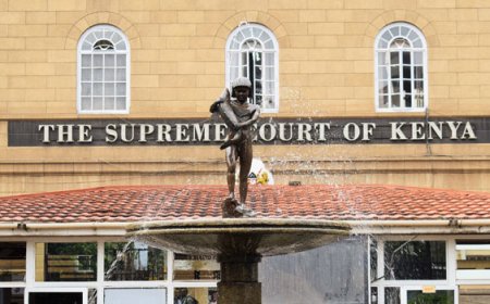 Man Sets Himself on Fire Outside Supreme Court; Judiciary Responds