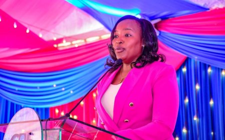 Profile Of PS Mbaika Set To Take Over Newly-Created Aviation Post