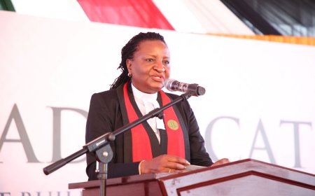 Ksh100M Gold Scam Comes To Haunt Anne Amadi During IEBC Chair Interviews