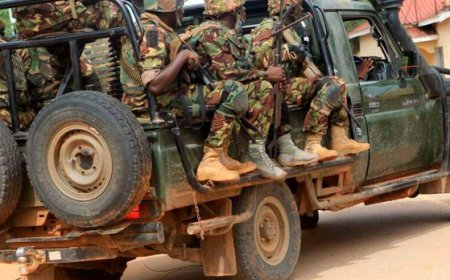 Al Shabaab Kill Police Reservist Heading Unit In Charge Of Governor's Office