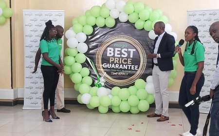 Mogo Promises Lowest Repayments on Car Logbook Loans: Here’s How