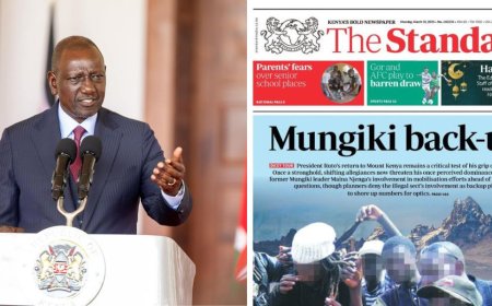 State House Bashes Standard Newspaper Over 'Mungiki' Story