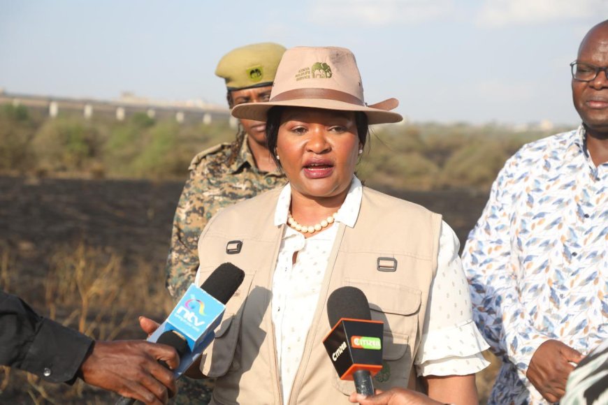 CS Miano Reveals Why Wildfires In National Parks Have Increased