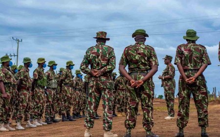 Police Arrest Suspect Who Stole Govt Uniform & Threatened To Kill