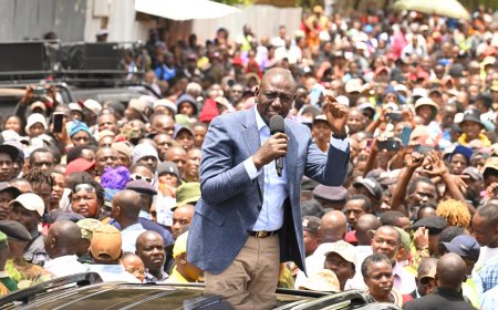 Ruto Defends Govt's Decision To Increase Miraa Prices