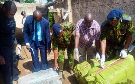 Drug Lord Flees After NACADA Raids Entire Village