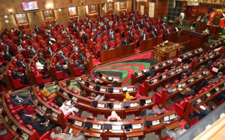 Why Salaries For MPs, Senators Could Be Reviewed