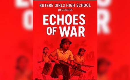 Kenyans Invited To Audition For 'Echoes of War' Play; Here's How