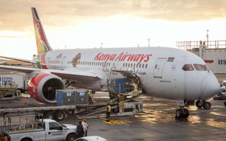 Passenger Collapses & Dies Aboard Kenya Airways Flight