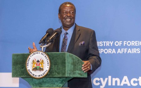 Deals Ruto Govt Is Pursuing During Mudavadi's Visit To UK