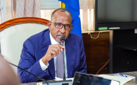 Duale Orders These Clinical Officers To Be Blocked From Being Licensed