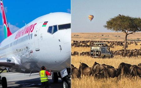 Fly To Maasai Mara & 8 Destinations On One Kenya Airways Ticket; Here's How