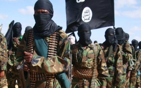 5 Shot Dead In Suspected Al Shabaab Attack