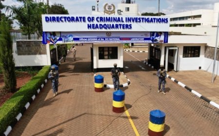 DCI To Shut Down Section Of Betting Platforms