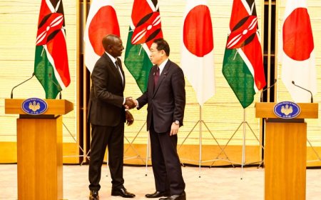 Former Kenyan Ambassador Conferred One Of Japan's Highest Honours