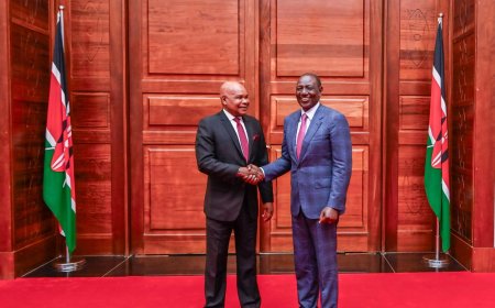 Ruto Appoints Makau Mutua To State House Job