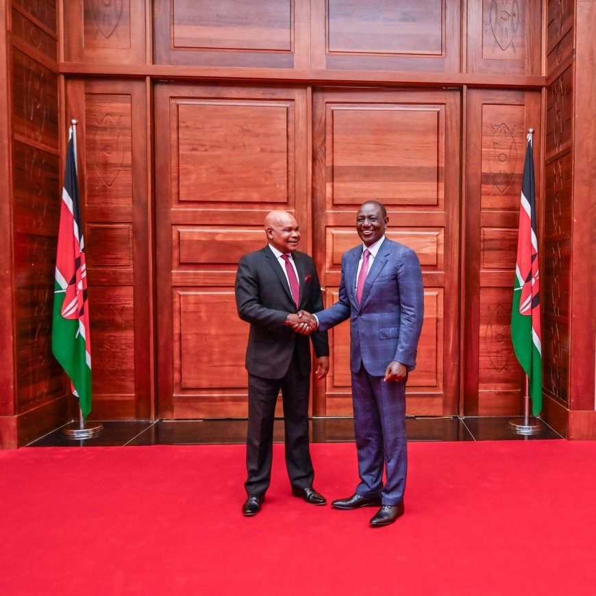 Ruto Appoints Makau Mutua To State House Job