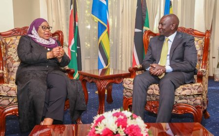 Tanzania Bans Foreign Currencies: What This Means For Kenyans