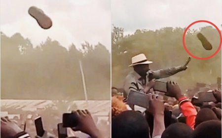 KNCHR Issues 3 Demands Over Ruto Shoe Throwing Incident