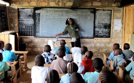 Primary School Closed Indefinitely After Body Parts Found In Toilet