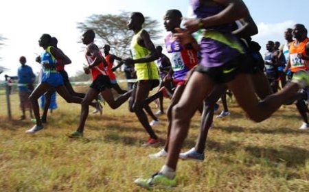 Indian Arrested In Possession Of Doping Drugs Targeting Kenyan Athletes