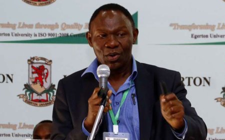 Bitange Ndemo Rejects UoN VC Job, Explains Why