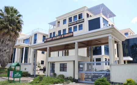 Details: Nakuru MCA To Host Youth From 12 Counties For Mock 'Bunge'